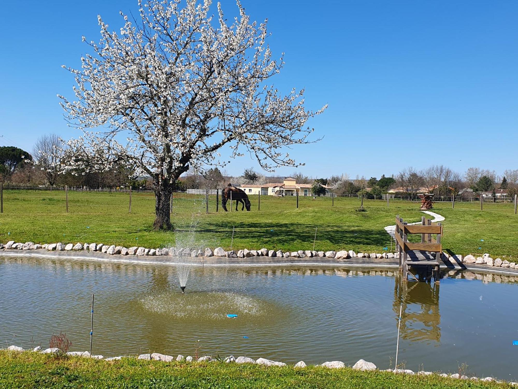 Bed and Breakfast Domaine Christanna Lisle-sur-Tarn Exterior foto